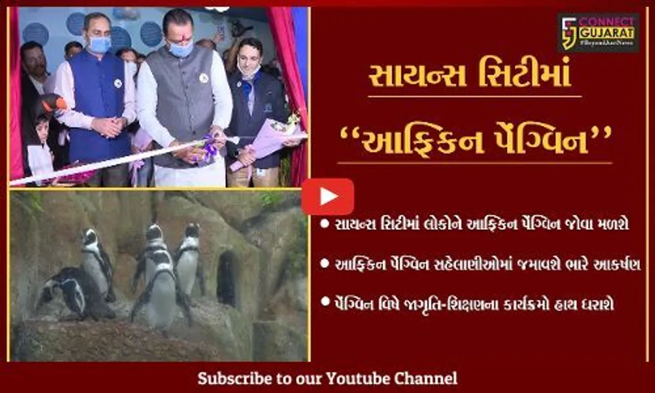 અમદાવાદ : સાયન્સ સિટીમાં જોવા મળશે આફ્રિકન પેંગ્વિન, આફ્રિકન પેંગ્વિન જમાવશે લોકોમાં આકર્ષણ...