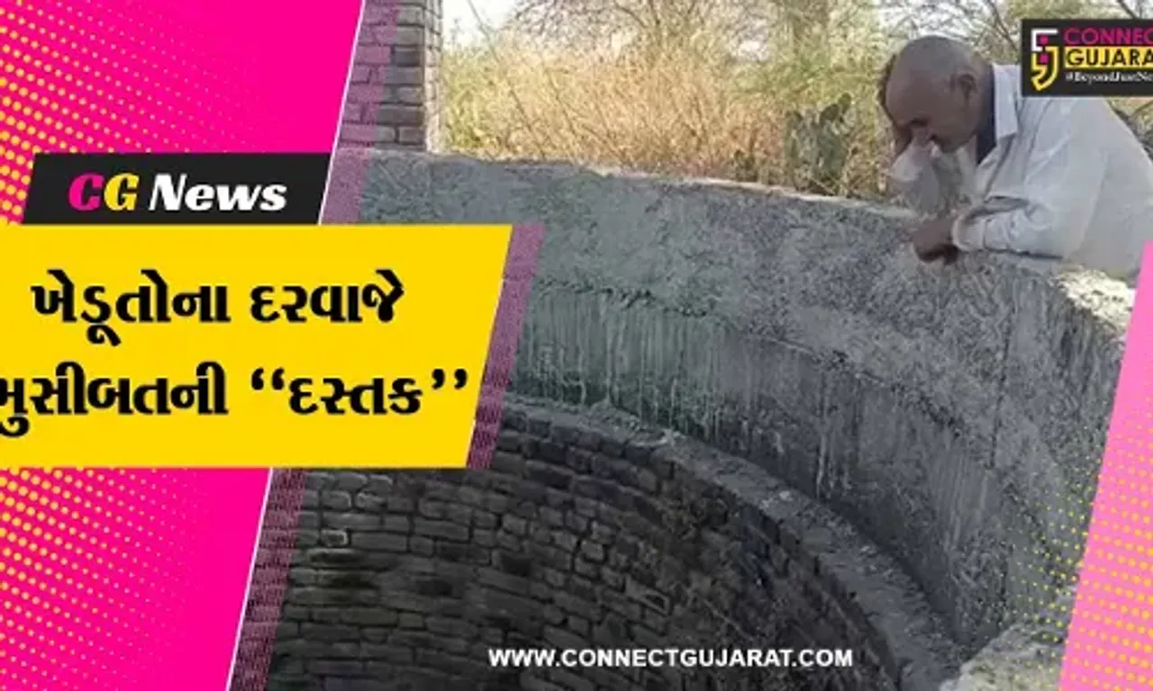 ભૂકંપના ભય વચ્ચે અમરેલીના ખેડૂતો પર આવી નવી “આફત”, જુઓ આ અહેવાલ...