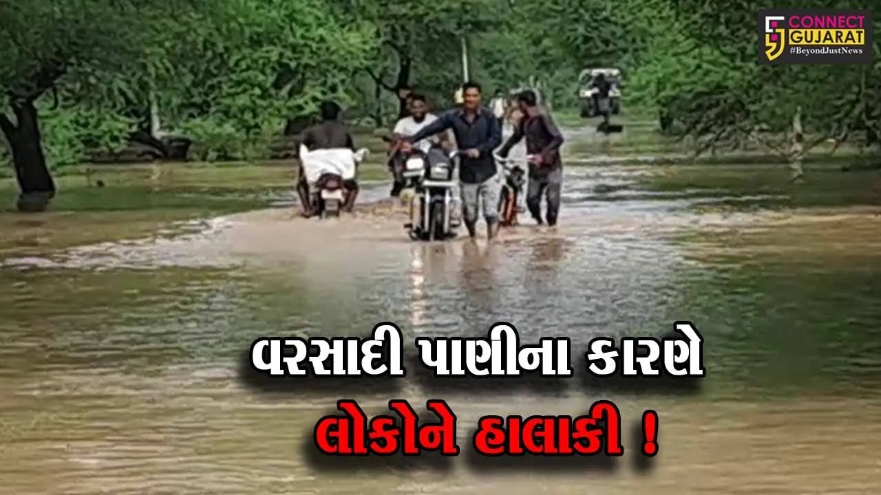 ભરૂચ:આમોદના કાંકરિયા-પુરસા ગામને જોડતા માર્ગ પર વરસાદી પાણી ફરી વળ્યા,ગ્રામજનોને ભારે હાલાકી