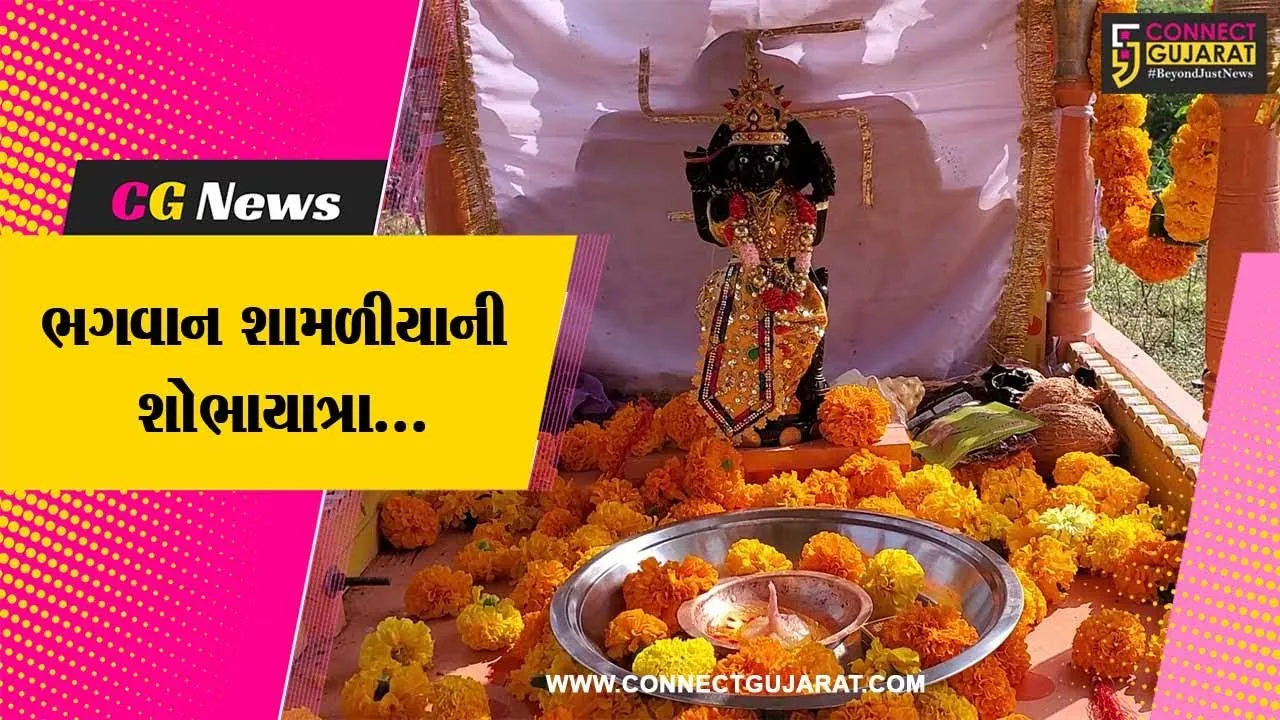 અરવલ્લી : બાબા રામદેવ પ્રચાર સમિતી-ભક્ત સંગમના ઉપક્રમે ભગવાન શામળીયાની ભવ્ય શોભાયાત્રા યોજાય...