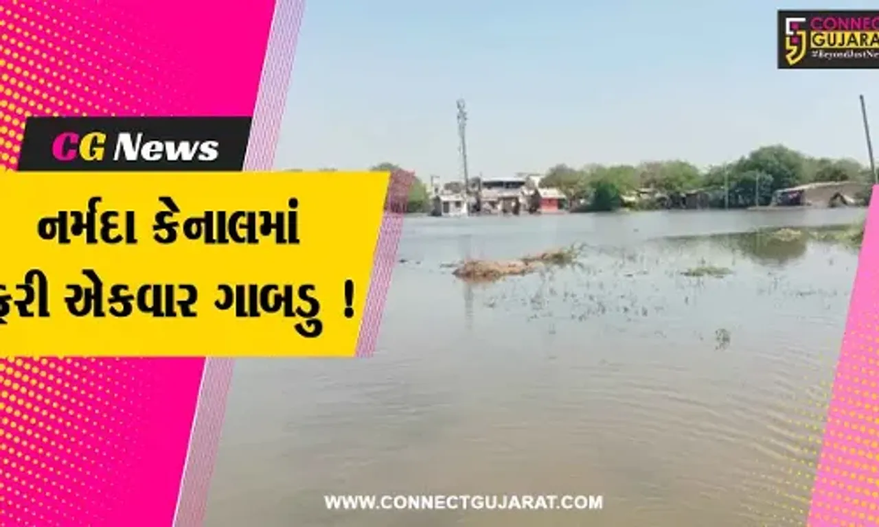 ભરૂચ: જંબુસરના કાવલી ગામે નર્મદાનિગમની નહેરમાં ગાબડુ પડ્યું,નવી નગરી વિસ્તારમાંચોમાસાની રેલના દ્રશ્યો