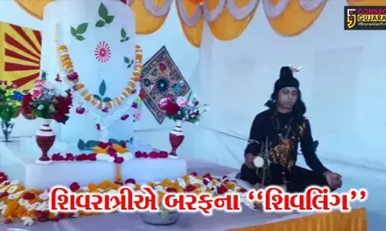ભરૂચ : આમોદમાં બ્રહ્માકુમારીઝ દ્વારા બરફના શિવલિંગ દર્શનનું આયોજન, ધારાસભ્ય ડી.કે.સ્વામી રહ્યા ઉપસ્થિત