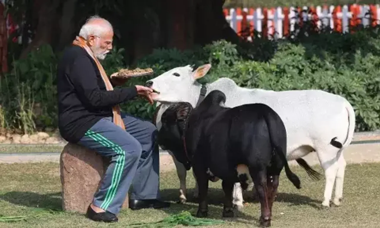 વડાપ્રધાન નરેન્દ્ર મોદીએ મકરસંક્રાંતિ નિમિત્તે PMOમાં પાળેલી ગાયોને વ્હાલ કરતા જોવા મળ્યા