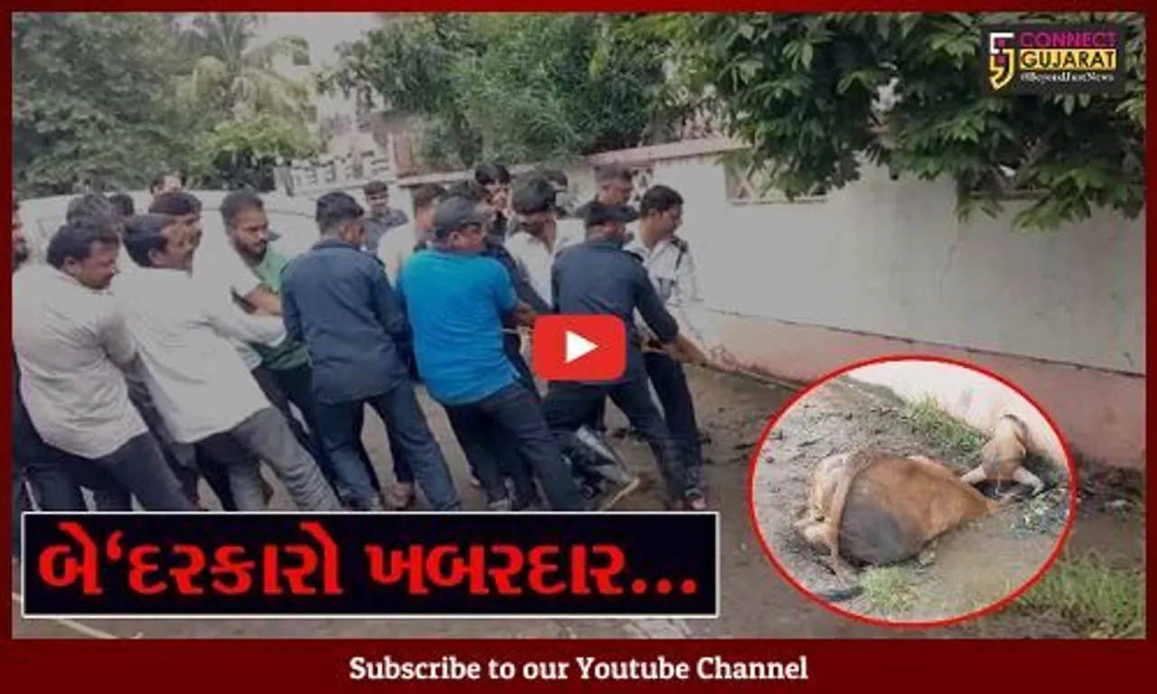 અંકલેશ્વર : નોટીફાઇડ એરિયા સુવિધાઓ પુરી પાડવામાં નિષ્ફળ, બેદરકારો થઇ જાવ "ખબરદાર"