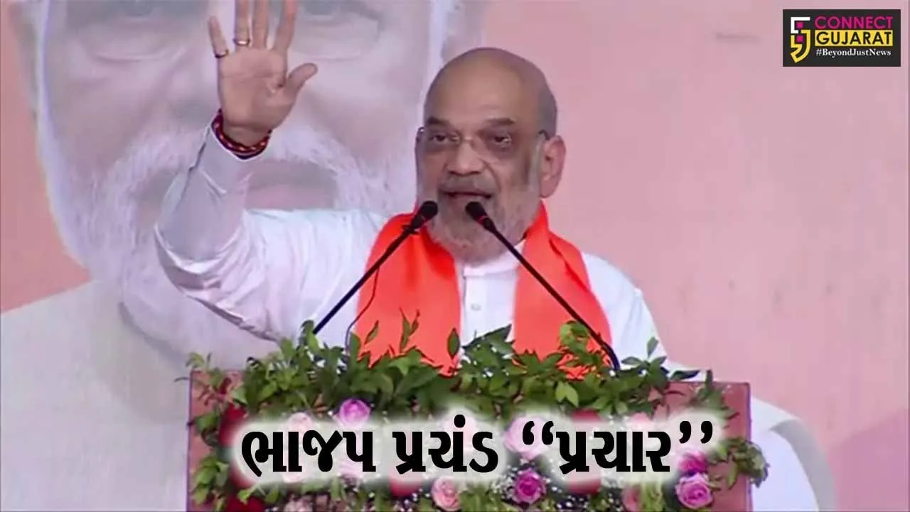 કેન્દ્રિય ગૃહમંત્રી અમિત શાહે છોટાઉદેપુર, નવસારી અને દમણમાં સભાઓ ગજવી, AAP-કોંગ્રેસ પર કર્યા શાબ્દિક પ્રહારો