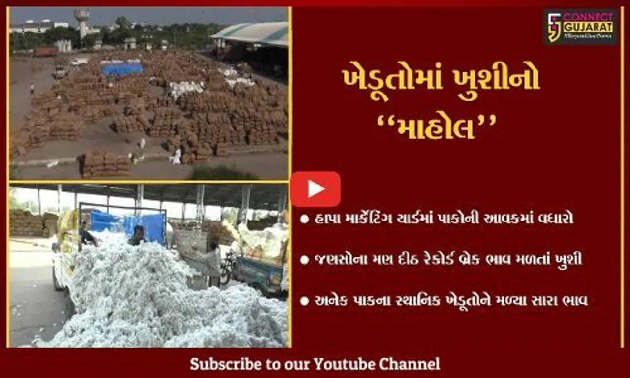 જામનગર : હાપા માર્કેટિંગ યાર્ડમાં જણસોના મણ દીઠ રેકોર્ડબ્રેક ભાવ મળતાં ખેડૂતોમાં ખુશી