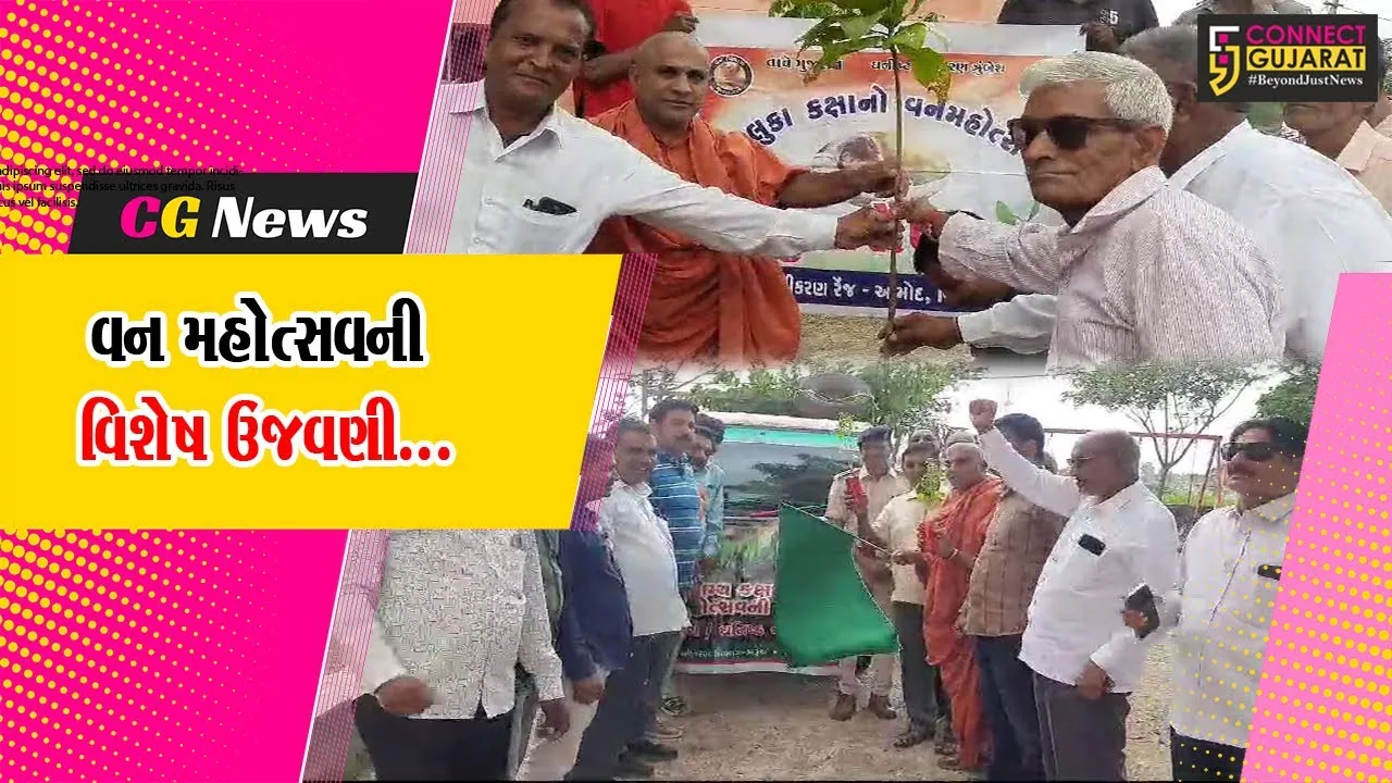 ભરૂચ : આમોદ ખાતે ધારાસભ્ય ડી.કે.સ્વામીના અધ્યક્ષસ્થાને ૭૪માં તાલુકા કક્ષાનો વન મહોત્સવ ઉજવાયો...