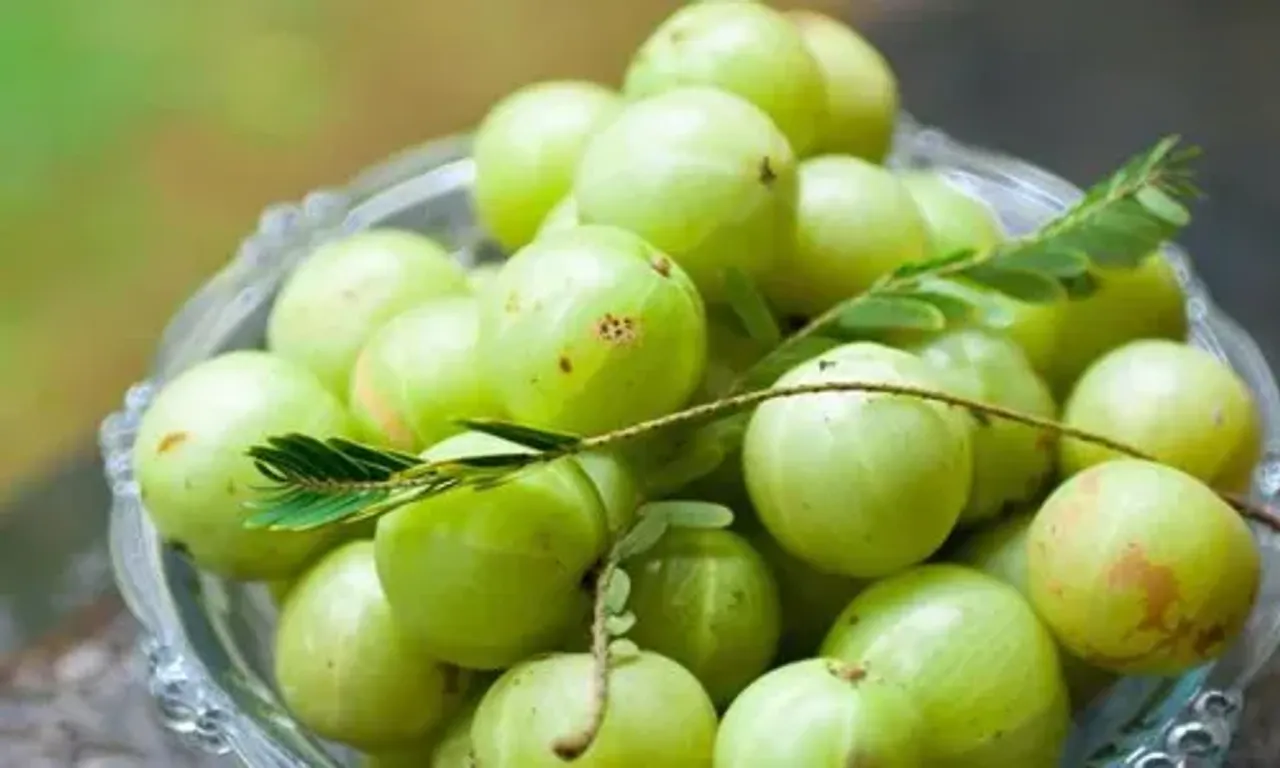 શિયાળામાં આમળાનું સેવન કરો, તમને મળશે આ 6 સ્વાસ્થ્ય લાભ