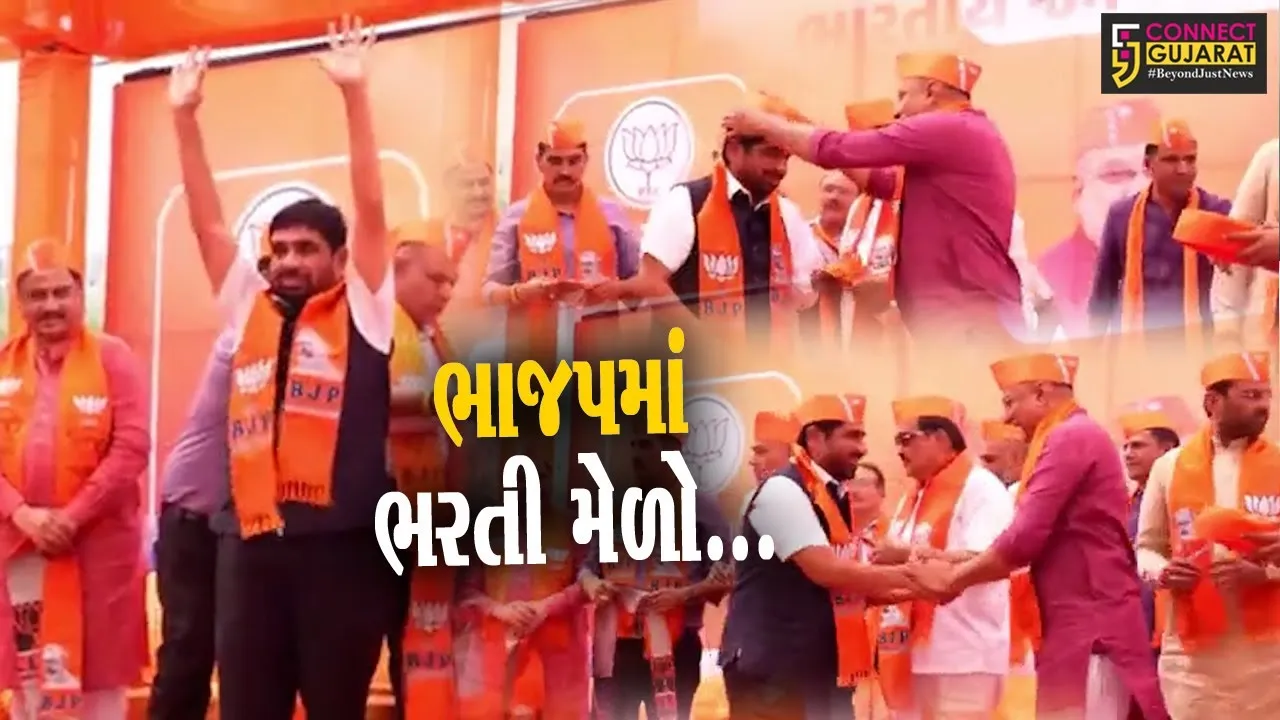 BTPના રાષ્ટ્રીય અધ્યક્ષ મહેશ વસાવાએ 800 સમર્થકો સાથે કર્યો કેસરિયો, સી.આર.પાટીલે આવકાર્યા...