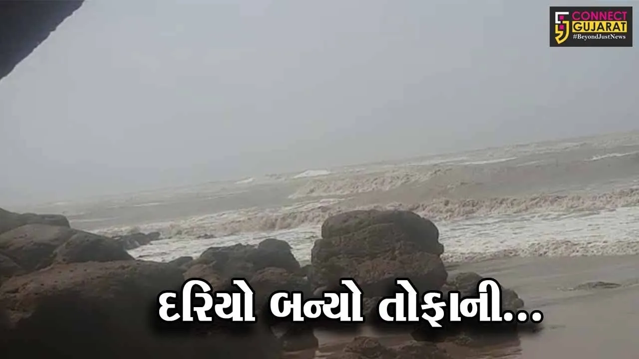 ભાવનગર : ઊંચા કોટડા નજીક દરિયામાંથી ડોલ્ફીન માછલીનું બચ્ચું બહાર તણાઈ આવ્યું, લોકોમાં કુતુહલ...
