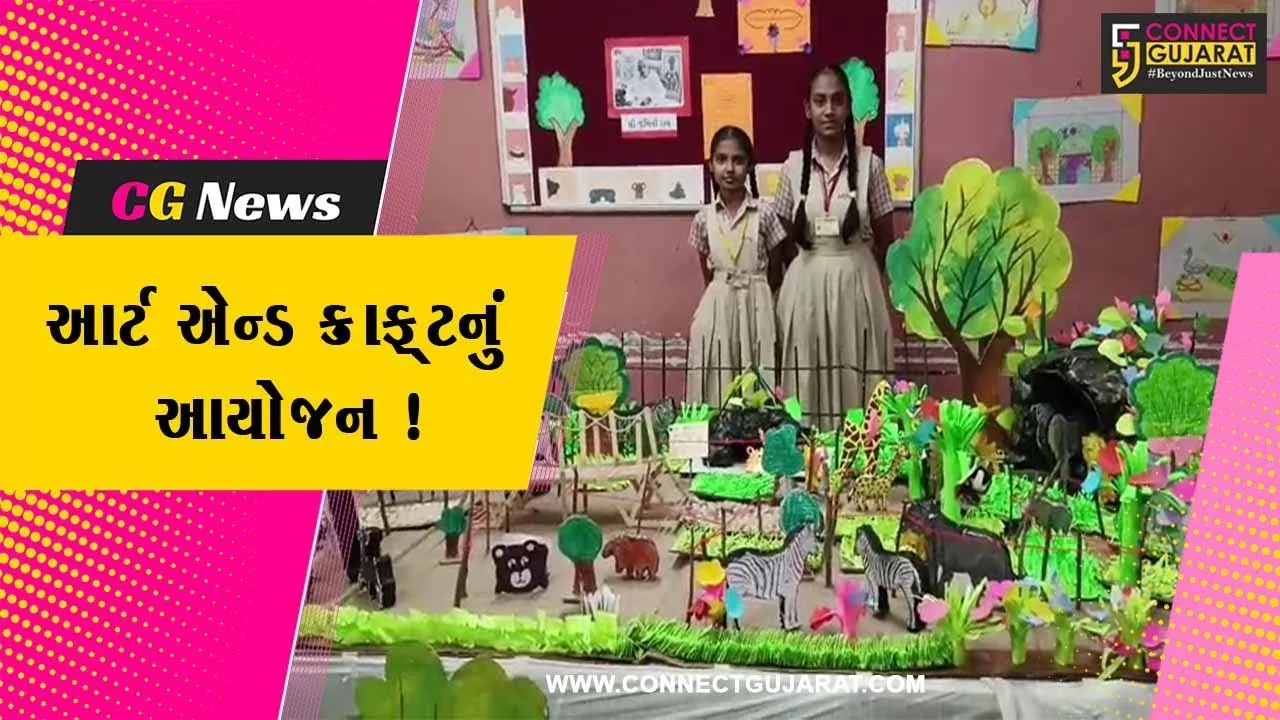 ભરૂચ: જે.બી.મોદી વિદ્યાલય ખાતે કલા સંપત્તિ આર્ટ એન્ડ ક્રાફ્ટનું આયોજન કરાયુ