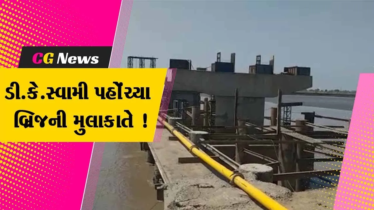 ભરૂચ: MLA ડી.કે.સ્વામીએ જંબુસરના ડોલીયા દેણવા બ્રિજની કામગીરીનું કર્યું નિરિક્ષણ, જુઓ શું આપી સૂચના