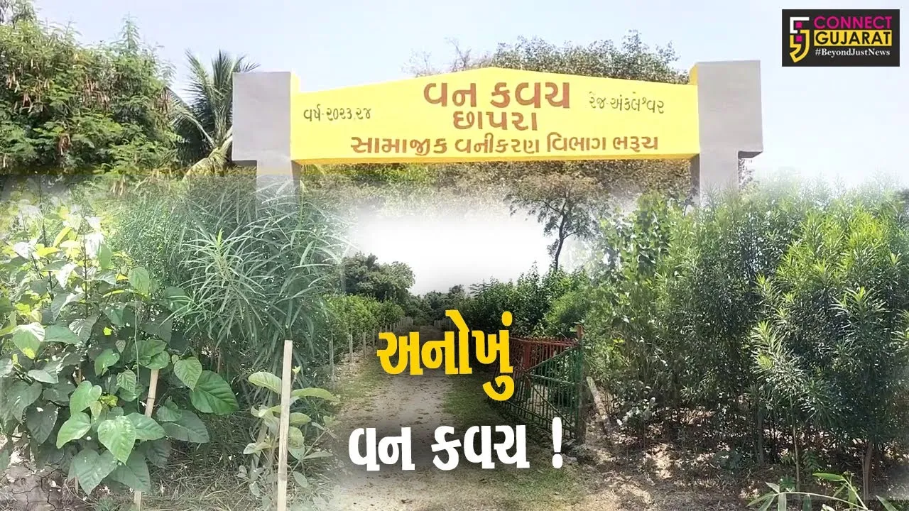 અંકલેશ્વર: જુના છાપરા ગામે અનોખું વનકવચ ઉભુ કરાયુ,જાપાની ટેકનોલોજીની લેવાય મદદ