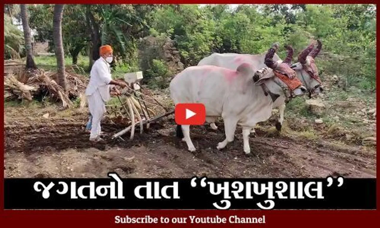 ગીર સોમનાથ : સારા વરસાદથી વેરાવળના ખેડૂતોમાં હરખની હેલી, ભીમ અગીયારસથી કર્યો વાવણીનો શુભારંભ