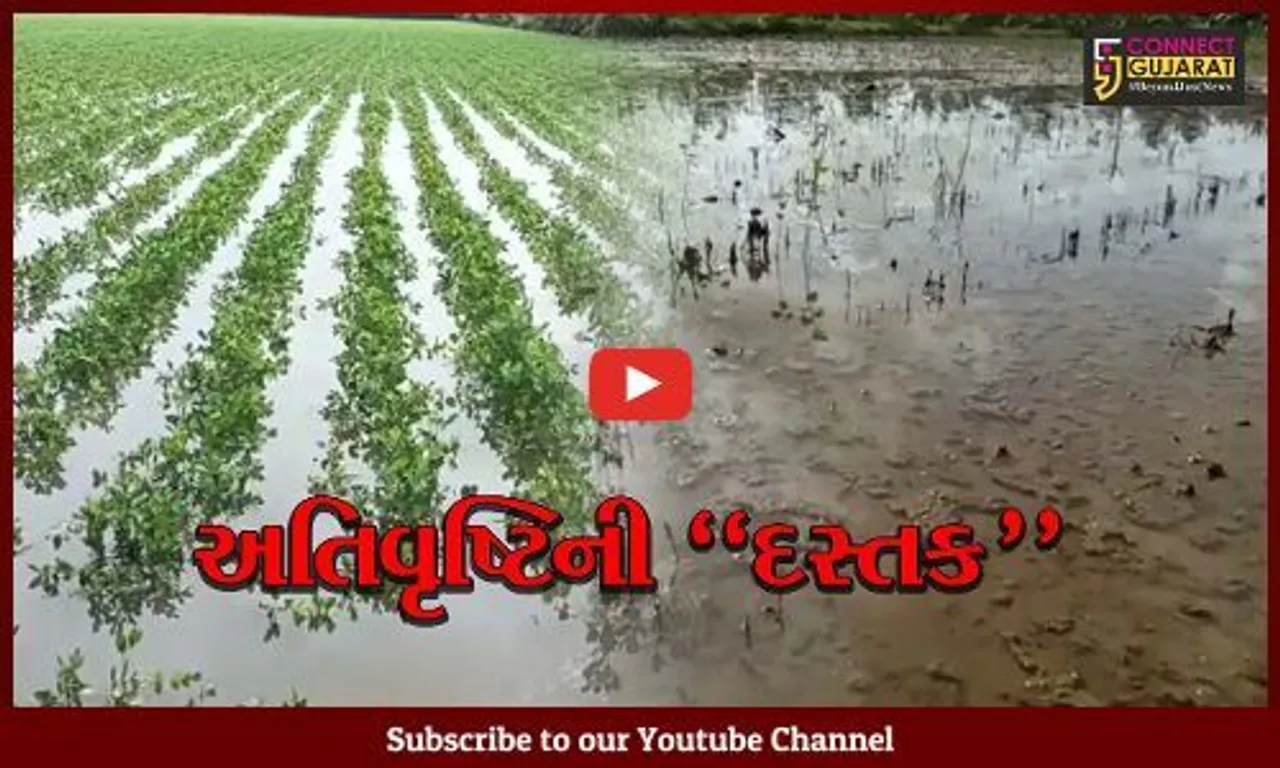ગીર સોમનાથ : અતિ વરસાદના કારણે ખેતરો બેટમાં ફેરવાયા, લીલા દુષ્કાળની પરિસ્થિતિનો સામનો કરતાં ખેડૂતો..!