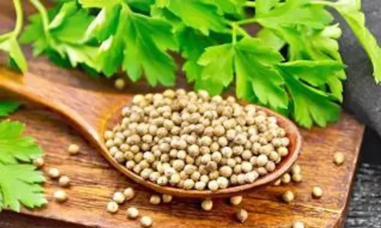 રોજ સવારે પીવો આ પાણી, પેટની ચરબી ક્યાં ગાયબ થઈ જશે ખબર જ નહીં પડે....