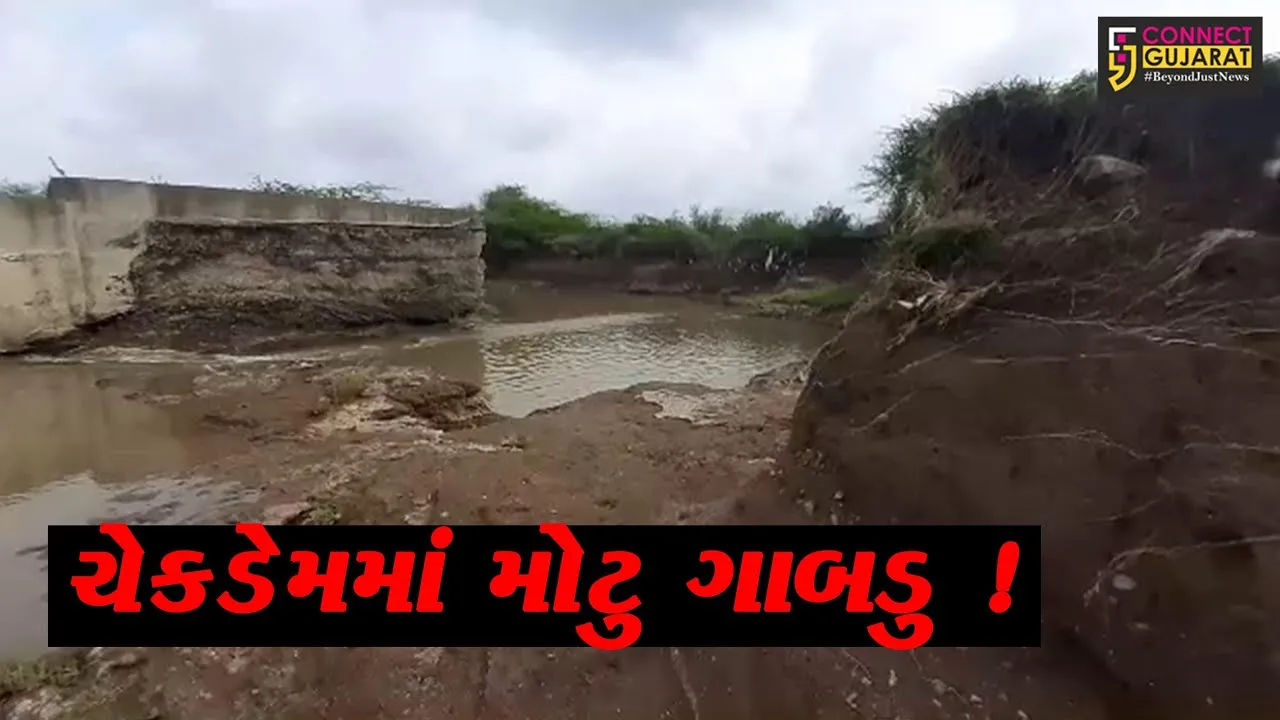 અમરેલી: સુરવો નદી પરના સૌથી મોટા ચેકડેમમાં મસમોટું ગાબડું,ખેડૂતોમાં આક્રોશ