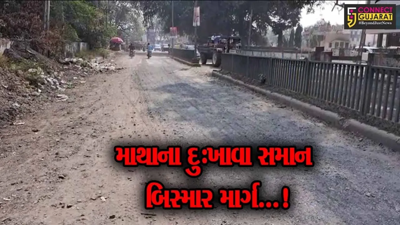 સાબરકાંઠા : પ્રાંતિજના મધ્યમાંથી પસાર થતો માર્ગ બન્યો અત્યંત બિસ્માર, લોકોને હાલાકી...