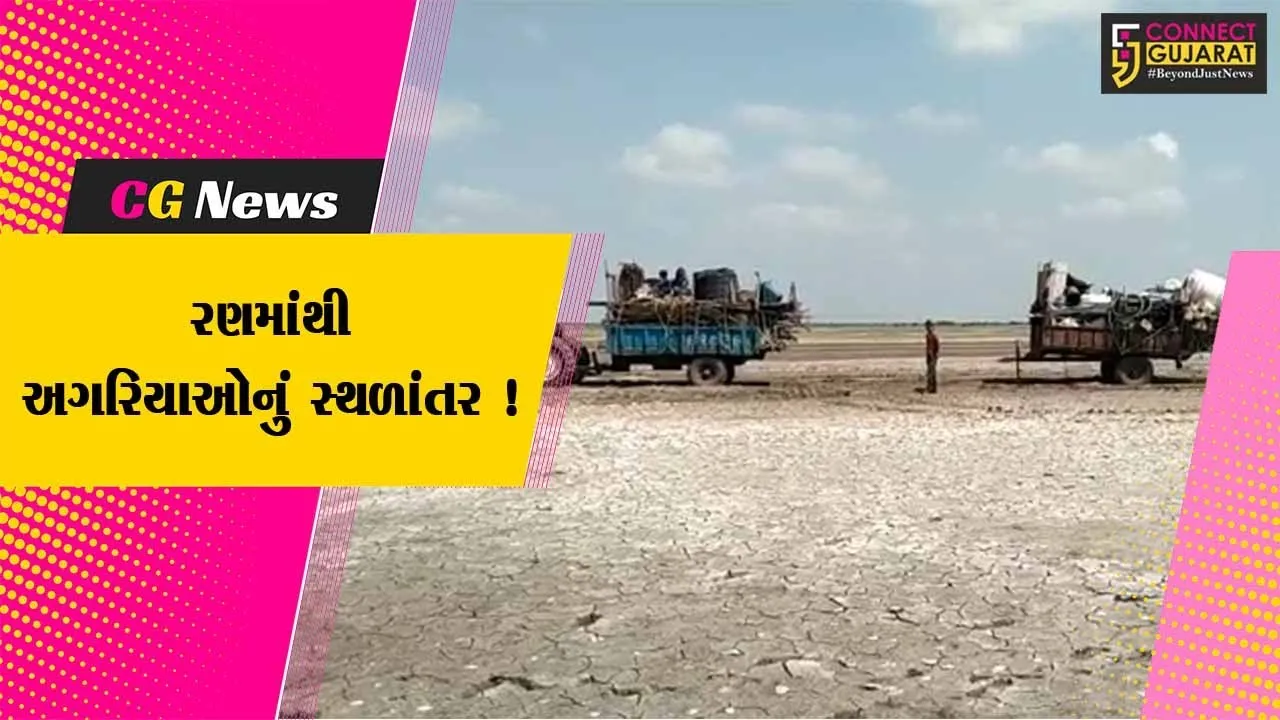 સુરેન્દ્રનગર: વાવાઝોડાના પગલે પાટડીના રણમાંથી અગરિયાઓનું સ્થળાંતર, તંત્ર બન્યુ એલર્ટ
