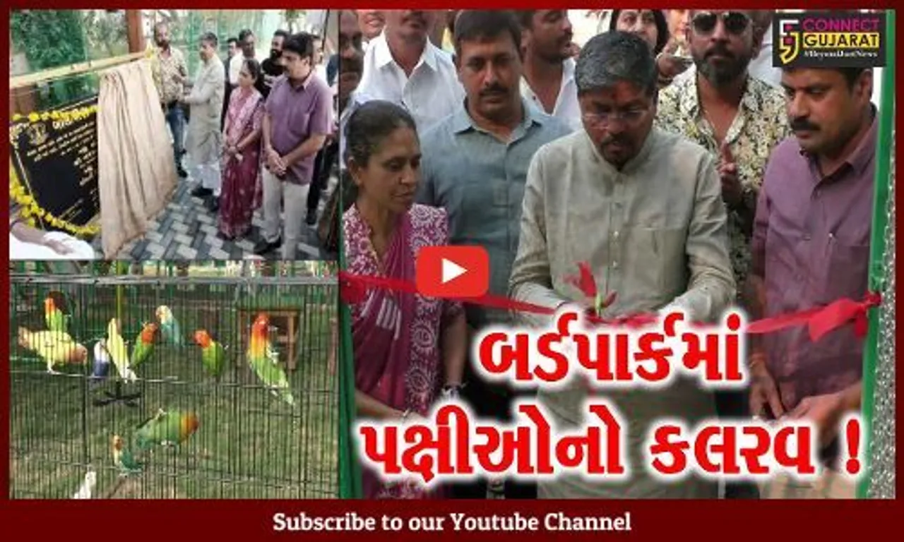 નવસારી: બીલીમોરામાં નગરપાલિકા સંચાલિત દક્ષિણ ગુજરાતનાં પ્રથમ બર્ડપાર્કનું નિર્માણ, 30 પ્રજાતિના પક્ષીઓને માણી શકાશે