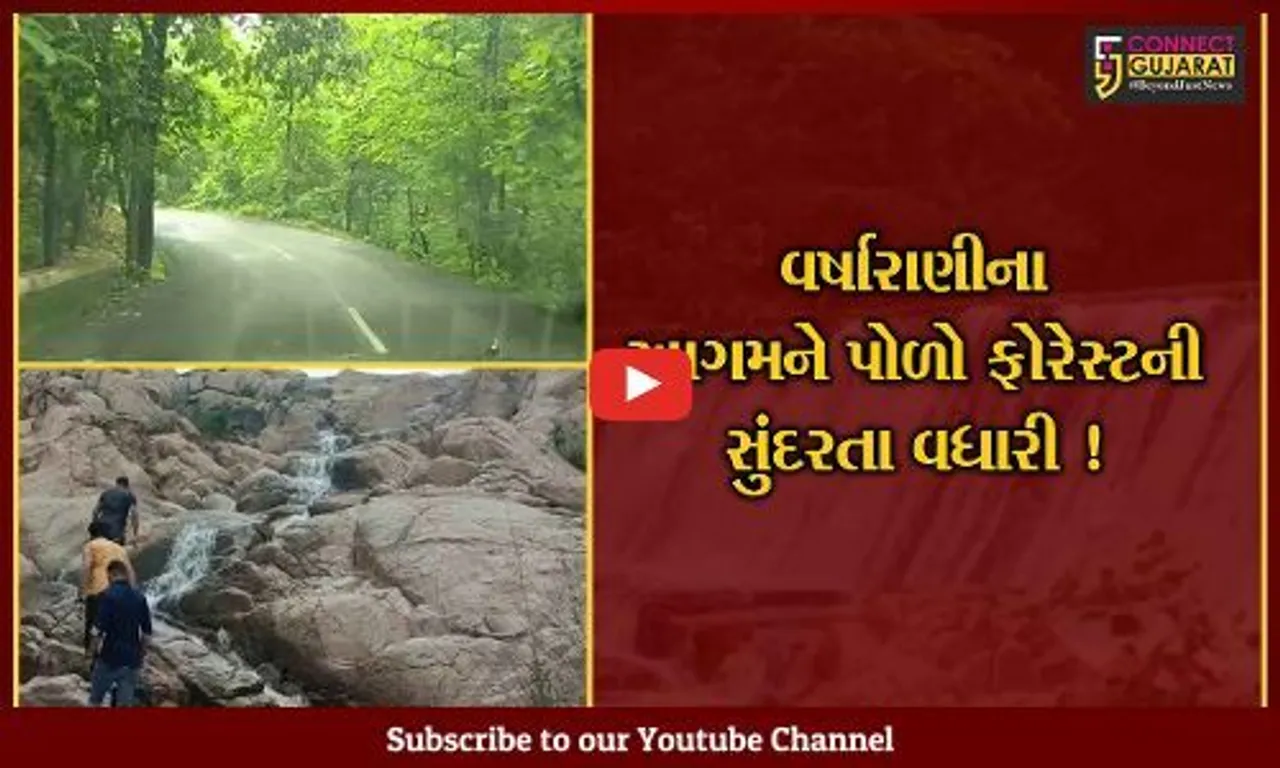 સાબરકાંઠા:વરસતા વરસાદ વચ્ચે પોળો ફોરેસ્ટની અપ્રતિમ સુંદરતા,દ્રશ્યો નિહાળી મુલાકાત લેવાનું અચુક થશે મન