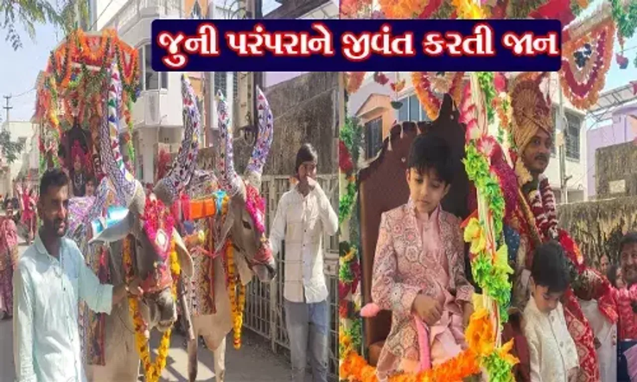 મોંઘી કારમાં નહીં પણ બળદ ગાડામાં જૂની પરંપરા મુજબ જાન નીકળતા લોકો જોતાં રહી ગયા