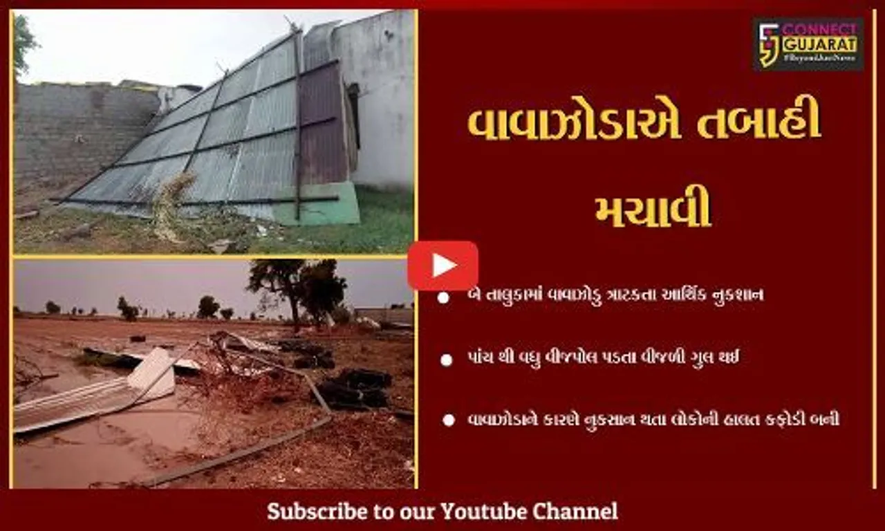 સાબરકાંઠા : બે તાલુકાના ત્રણ ગામમાં વાવાઝોડુ ત્રાટકતા આર્થિક નુકસાન, એક પશુનું મોત બે પશુને ઇજા