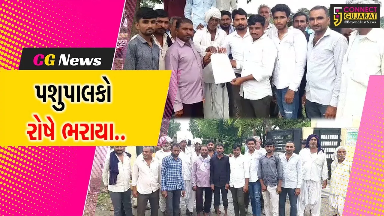 પાટણ : રાધનપુર તાલુકાના દૈગામ ગામના પશુપાલકોને બનાસ ડેરીએ આપેલો વધારો ના મળતા રોષે ભરાયા....