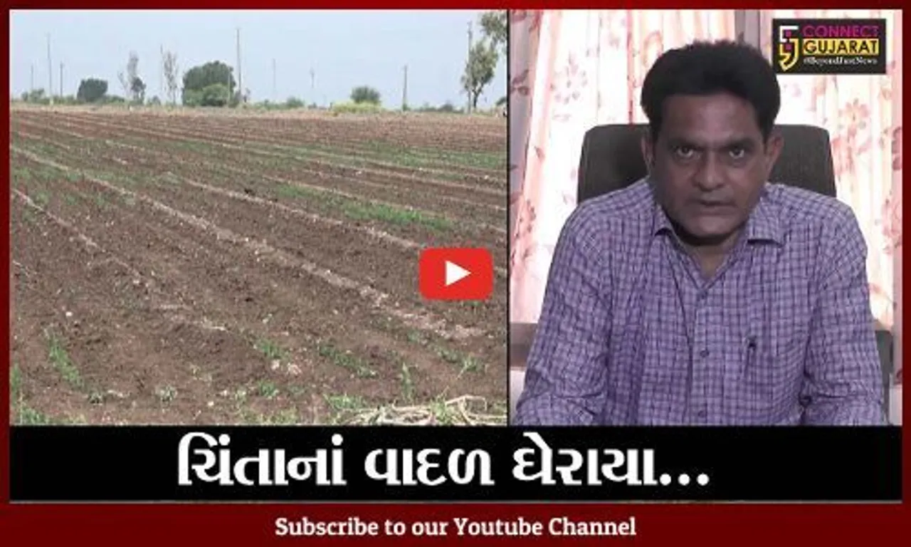 રાજકોટ: ઓછા વરસાદને કારણે ખેડૂતોમાં ચિંતા; પાક નિષ્ફળ જવાની ભિંતી