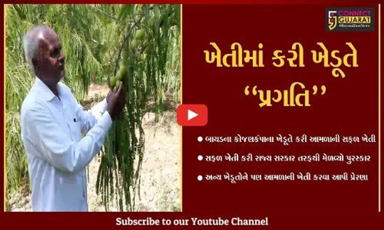 અરવલ્લી : આમળાની ખેતી કરી લાખોની કમાણી કરતાં બાયડના પ્રતગિશીલ ખેડૂત…