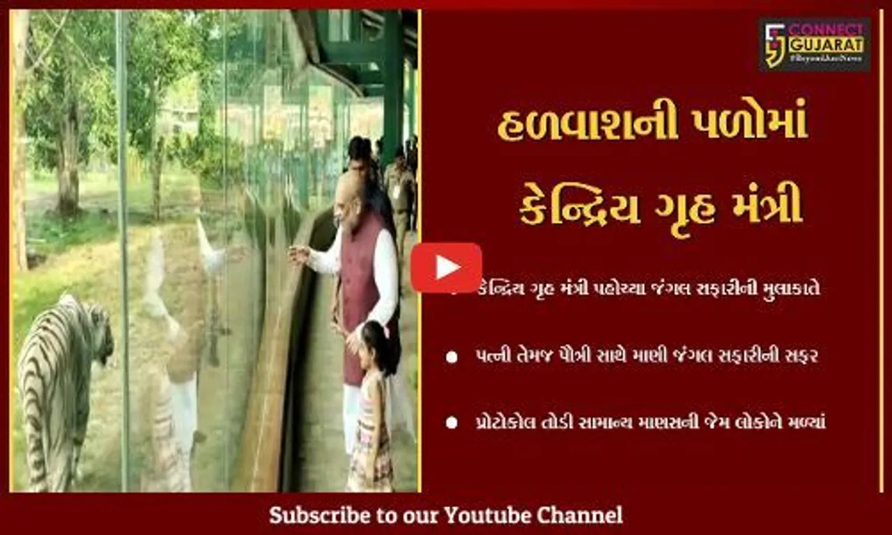 નર્મદા : કેન્દ્રીય ગૃહમંત્રી અમિત શાહે પરિવાર સાથે લીધી જંગલ સફારીની મુલાકાત...