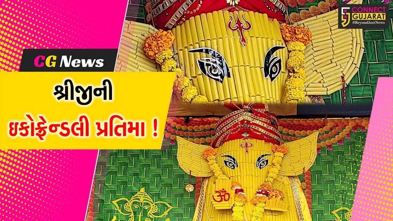 સુરત: ઓલપાડના કરમલા ગામે કાચા ભૂંગળામાંથી શ્રીજીની 3.5 ફૂટ ઉંચી પ્રતિમાનુ કરાયું સ્થાપન