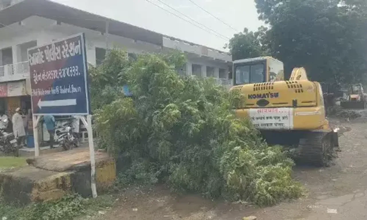 ભરૂચ: આમોદ નગરમાં ગેરકાયદેસર રીતે વૃક્ષો કાપવામાં આવ્યા હોવાના સ્થાનિકોના આક્ષેપ,પોલીસ ફરિયાદની માંગ