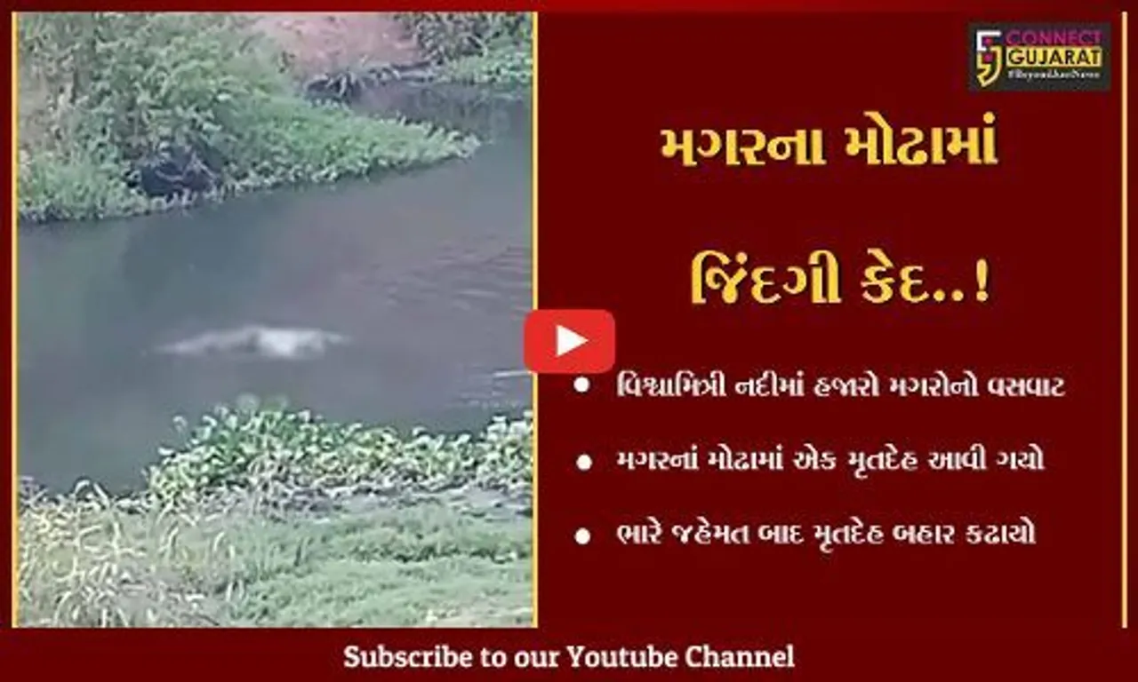 વડોદરા : મગરના મોઢામાં આવી ગયો યુવકનો મૃતદેહ, 3થી વધુ મગરો વચ્ચે ઘેરાયાલો હતો,જુઓ પછી શું થયું