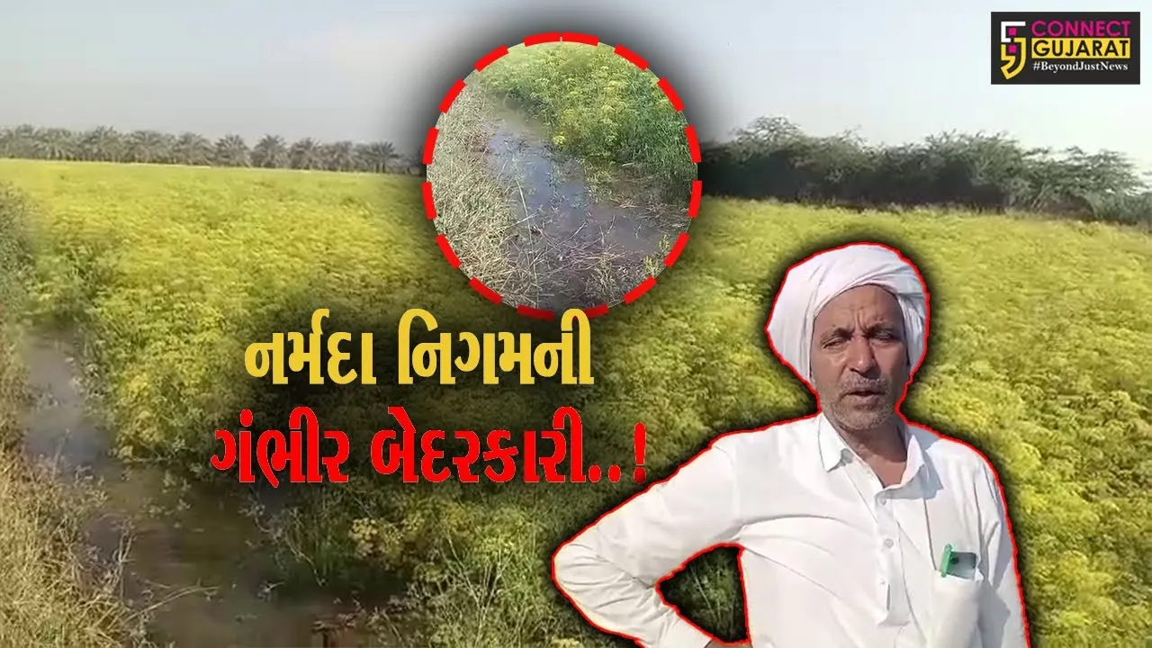 પાટણ : અરજણસર ગામે કેનાલ ઓવર ફ્લો થતાં ફરી વળ્યું ખેતરોમાં પાણી, પાક નિષ્ફળ જવાની ખેડૂતોમાં ભીતિ..!