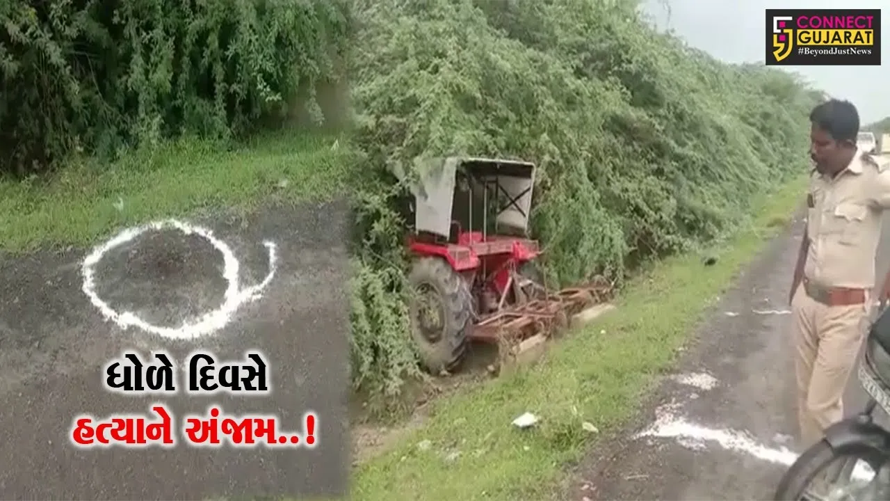 પાટણ : જૂની અદાવતમાં 2 સગા ભાઈએ પાડલા ગામના ઈસમનું ઢીમ ઢાળ્યું, પોલીસ તપાસ શરૂ...