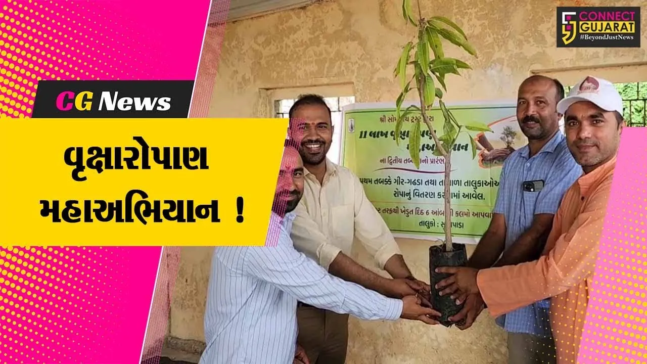 સોમનાથ ટ્રસ્ટના 11 લાખ વૃક્ષારોપાણ મહાઅભિયાનના બીજા તબક્કાનો પ્રારંભ, ઢોલ શરણાઈ સાથે અભિયાનનું કરવામાં આવ્યુ સ્વાગત