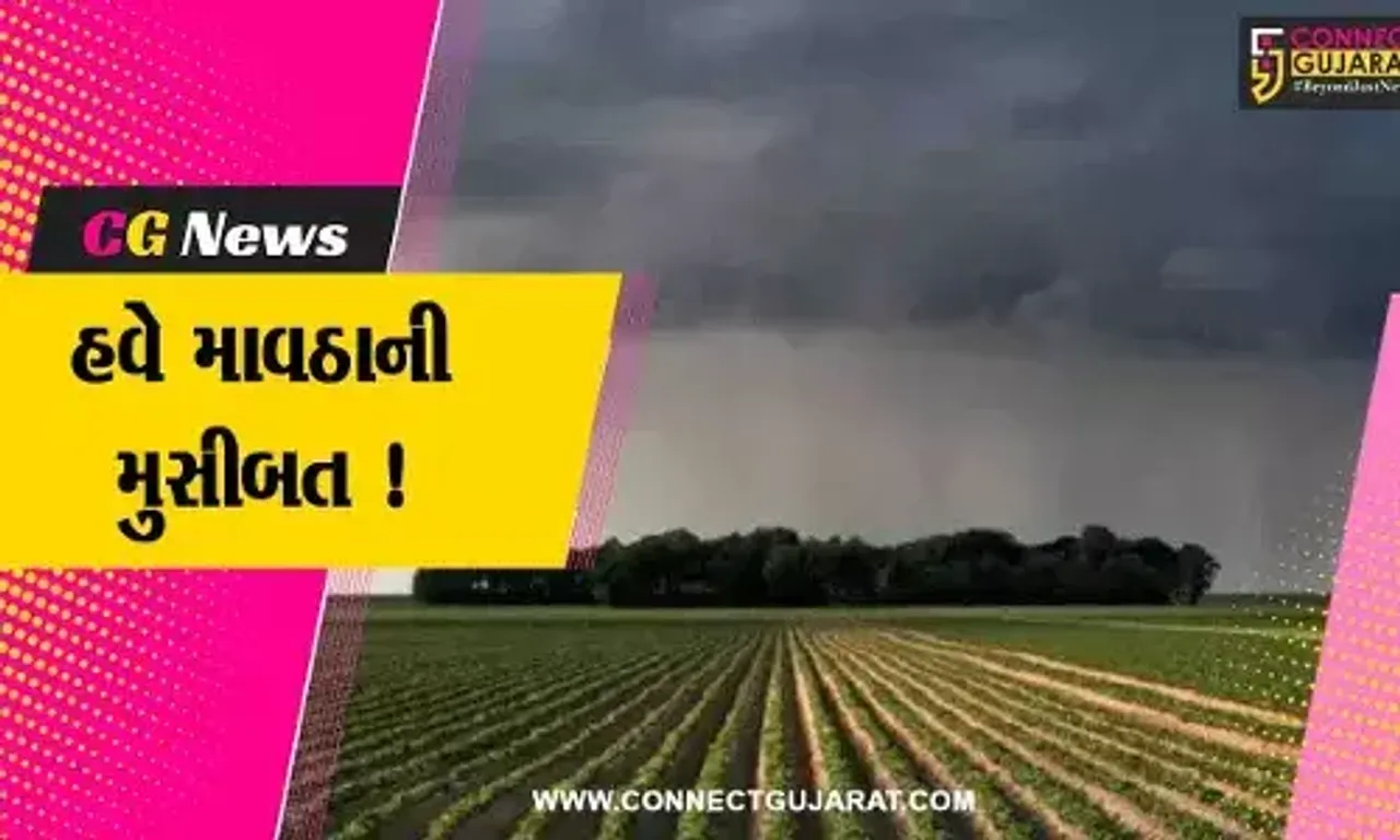 જામનગર: માવઠાની આગાહીના પગલે માર્કેટિંગ યાર્ડમાં જણસની આવક કરવામાં આવી બંધ