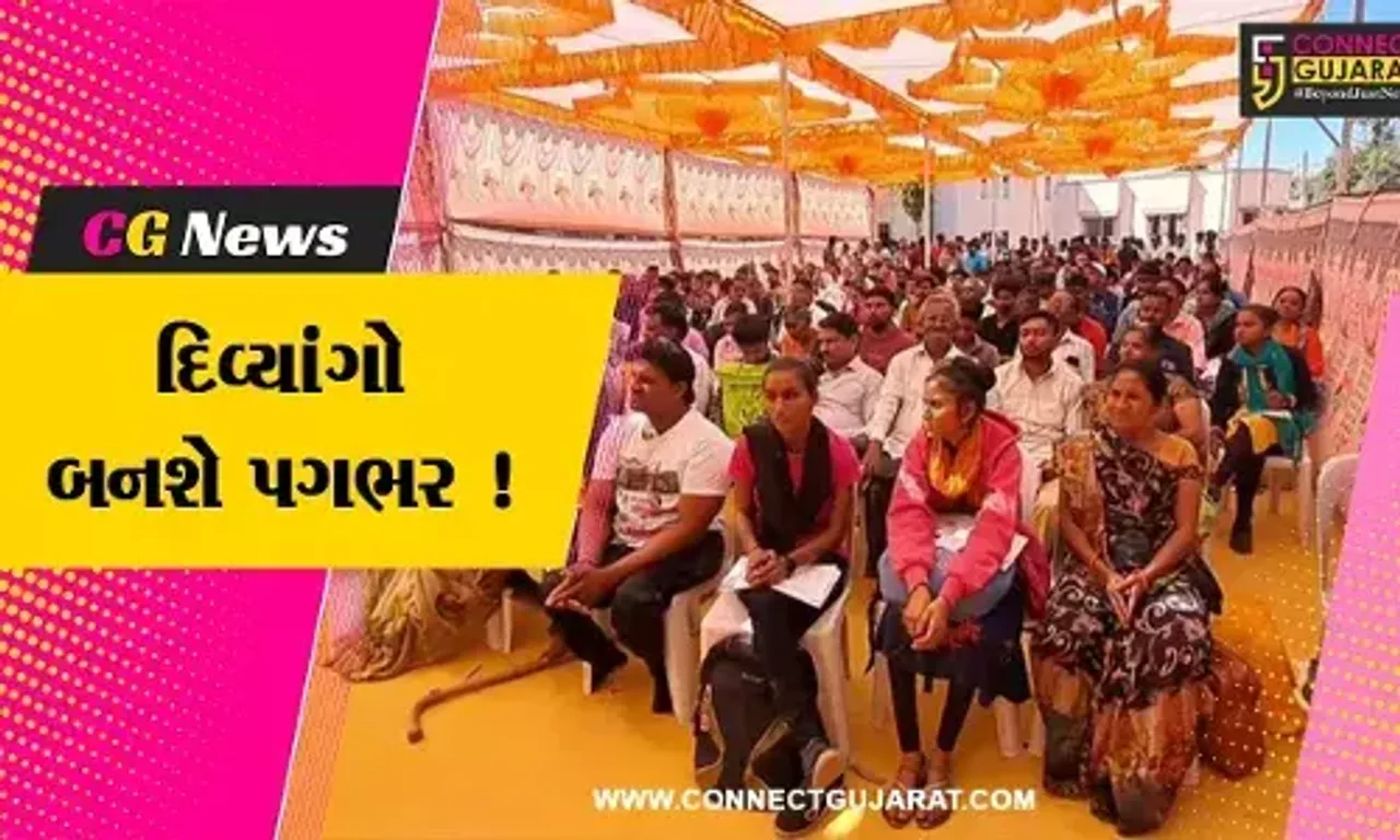 સાબરકાંઠા: રોજગાર વિભાગ દ્વારા દિવ્યાંગ ભરતી મેળાનું કરાયું આયોજન,250 દિવ્યાંગોએ લીધો લાભ