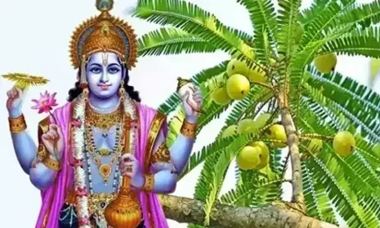 આમલકી એકાદશી પર ભગવાન વિષ્ણુની સાથે સાથે આમળાના ઝાડની પૂજા કરવાનું વિશેષ મહત્વ, વાંચો