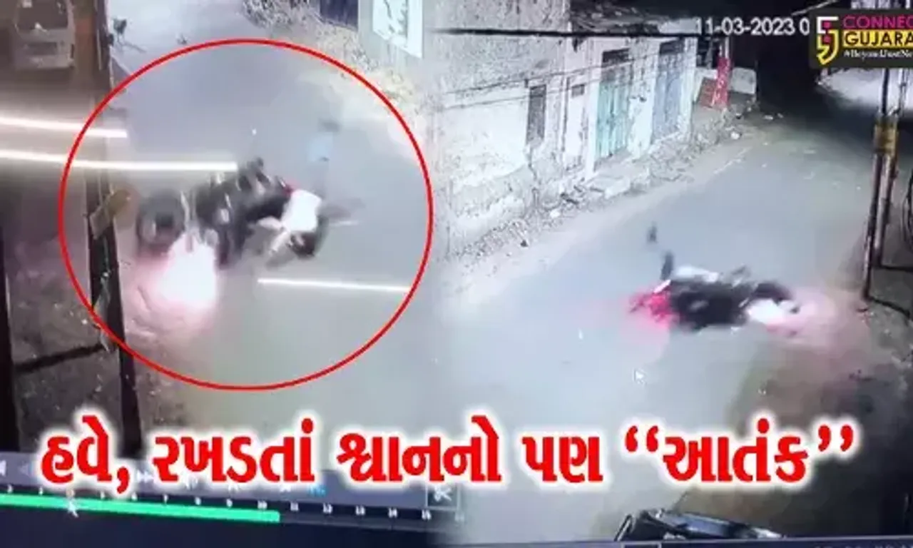 વડોદરા : રખડતાં ઢોર સાથે હવે રખડતાં શ્વાનનો પણ આતંક, શ્વાનના કારણે બાઈકચાલક પટકાયો, જુઓ LIVE વિડિયો