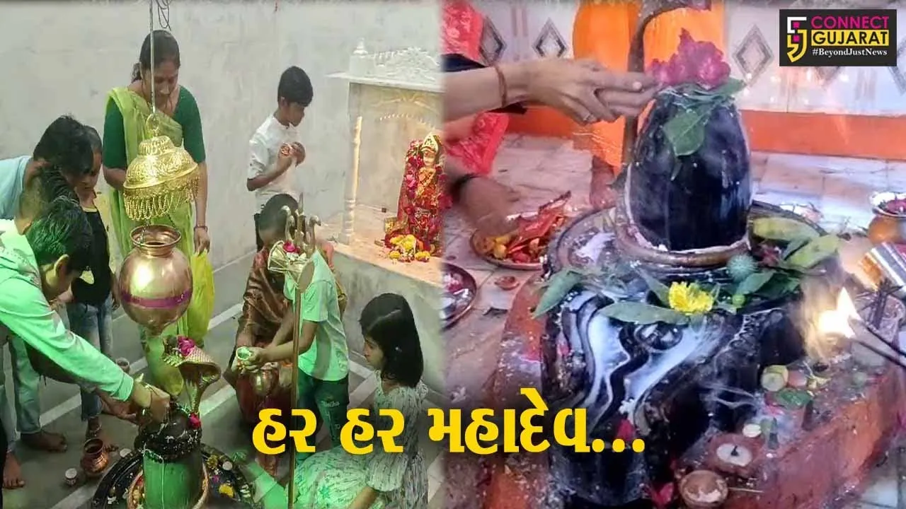 “શિવોહમ” : મહાશિવરાત્રિ નિમિત્તે ભરૂચ-અંકલેશ્વર સહિત જિલ્લાભરના શિવાલયો હર હર મહાદેવના નાદથી ગુંજી ઉઠ્યા...