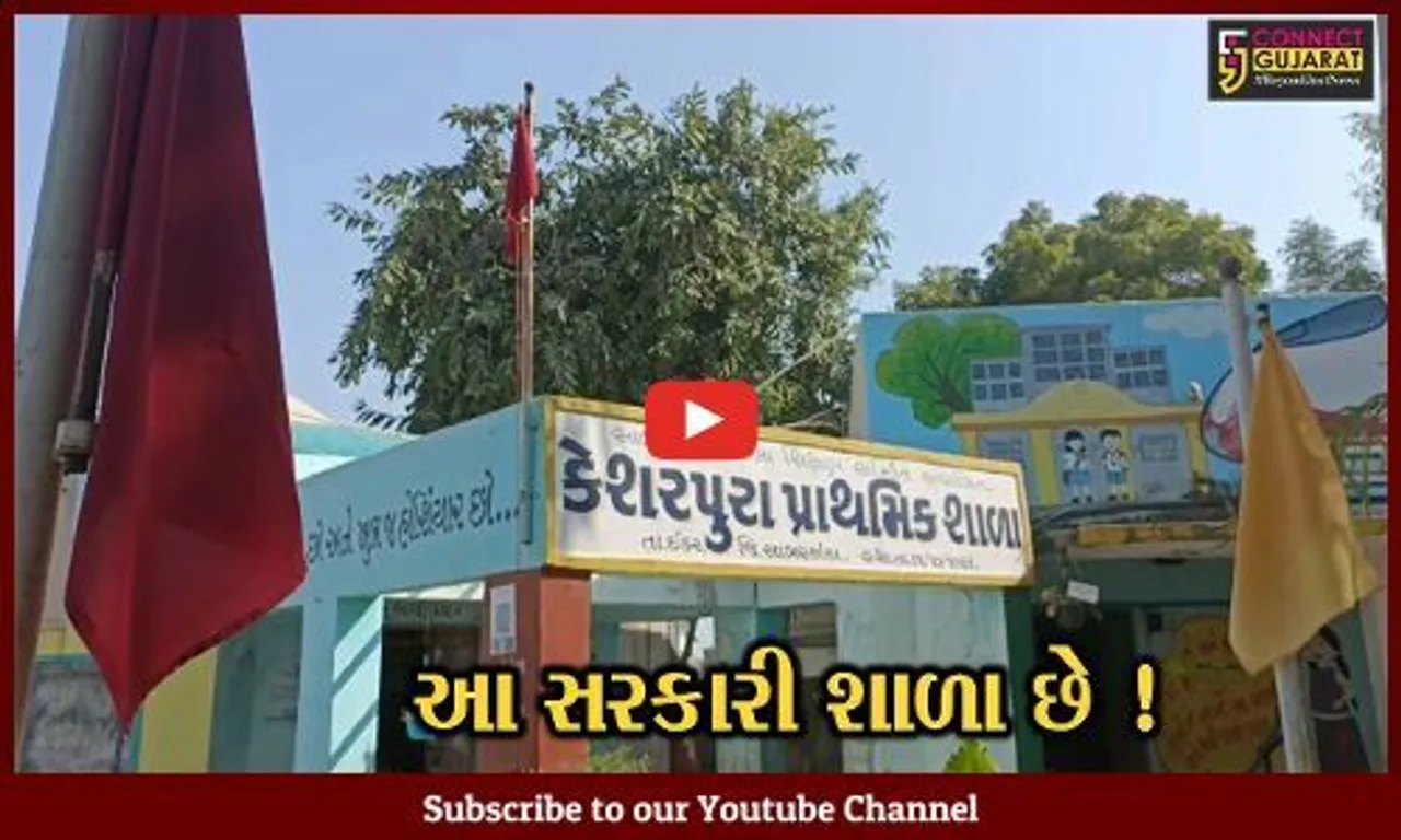 સાબરકાંઠા: આ પ્રાથમિક શાળામાં બનાવાયું બાળ અભ્યારણ, જુઓ સરકારી શાળાની વિશેષતા