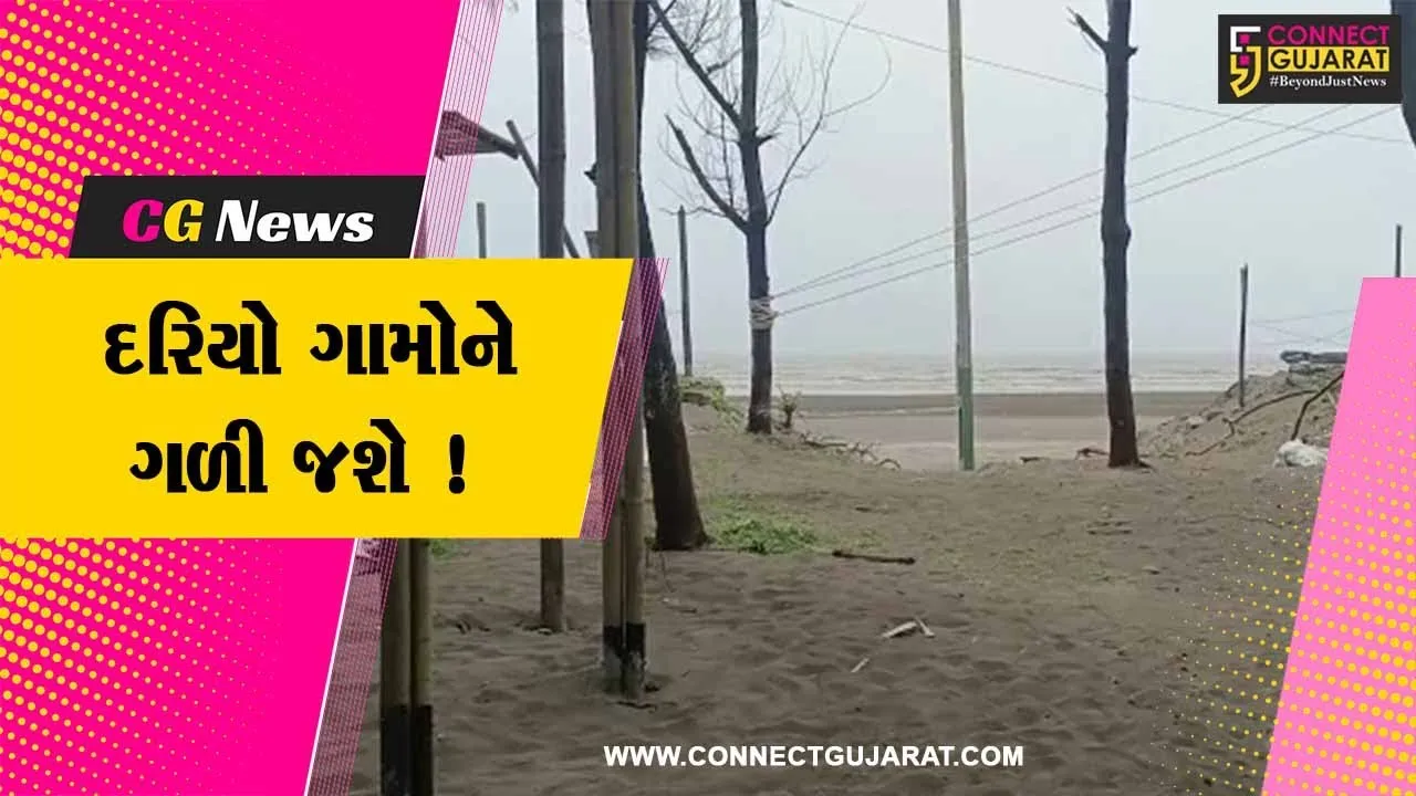 નવસારી: જંગલી બાવળોને દૂર કરાતા દાંડીમાં દરિયો અનેક ગામોને ભરખી જશે ! ગ્રામજનોમાં રોષનો માહોલ