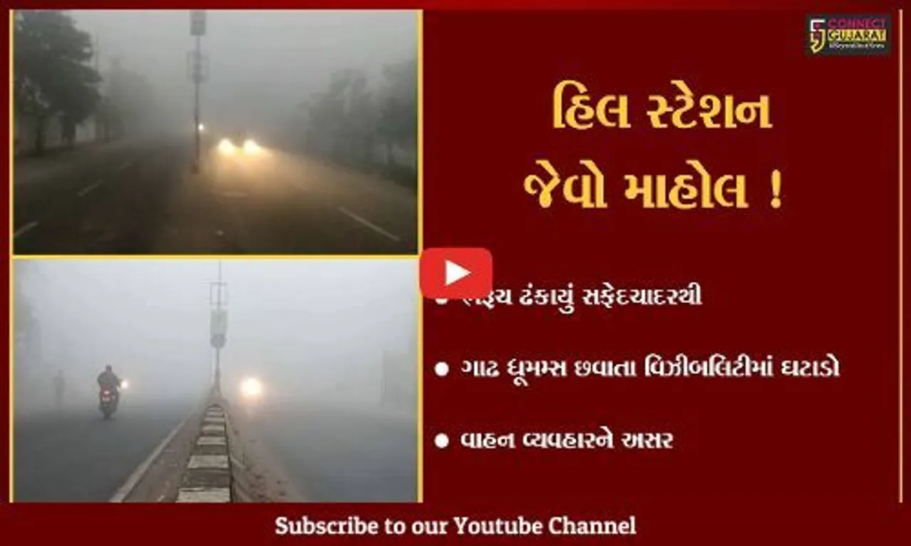 ભરૂચ: ગાઢ ધૂમમ્સ છવાતા વિઝિબીલિટીમાં ઘટાડો,જુઓ હિલ્સસ્ટેશન જેવો માહોલ