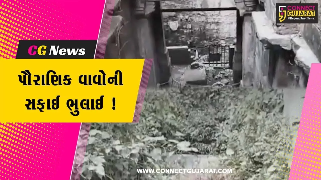 સાબરકાંઠા: હિંમતનગરમાં સ્વચ્છતા અભિયાનમાં રોડ-રસ્તાની સફાઈ કરાઈ,પૌરાણિક વાવોની સફાઈ ભુલાઈ