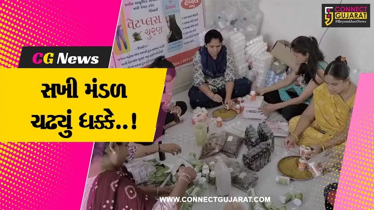 સાબરકાંઠા : સખી મંડળની બહેનોને સ્ટોલ નહીં આપી સરકારી અધિકારીઓનું બેહૂદુ વર્તન..!