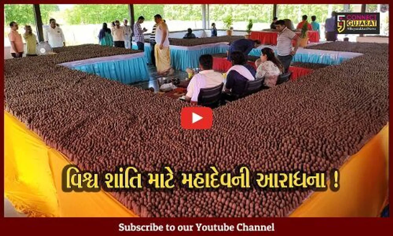 ભરૂચ: હાંસોટના ખરચ ગામ સ્થિત દત્તાશ્રય ધામમાં વિશ્વ શાંતિ માટે પાર્થેશ્વર શિવલિંગ પર અભિષેક કરાયો