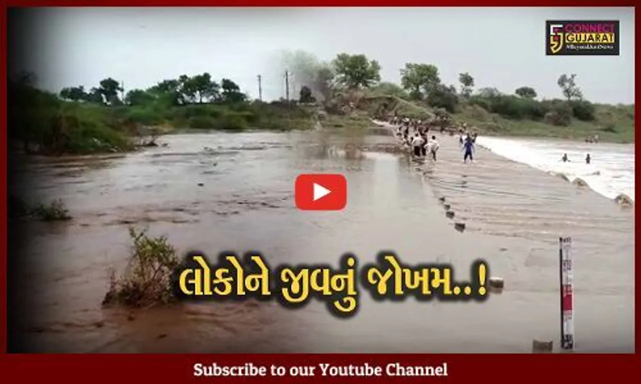અમરેલી : ધોધમાર વરસાદ વરસતા શેત્રુંજી નદીમાં પૂર આવ્યું, કોઝ-વે પર પાણી ફરી વળતાં માર્ગ બંધ