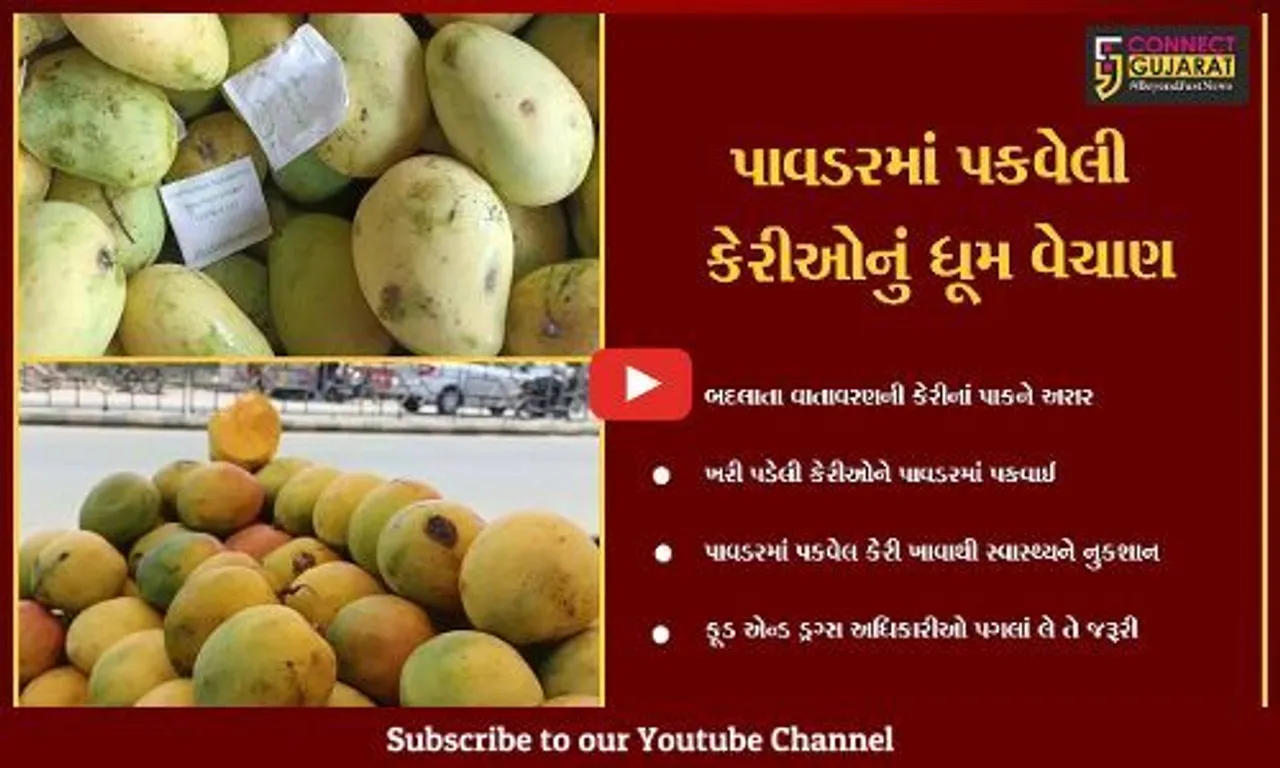 ભરૂચ : ખેતીવાડી ઉત્પન્ન બજાર સમિતિમાં પાવડરથી પકવેલી કેરીઓનું વેચાણ શરૂ, ફૂડ એન્ડ ડ્રગ્સ વિભાગ નિરીક્ષણ કરે તે જરૂરી.!